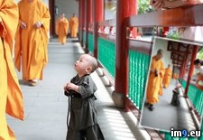 Tags: enlightenment, excuse, find, sir (Pict. in My r/PICS favs)