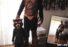Tags: break, costume, feeling, groot, overwhelmed, photos, progress, share (Pict. in My r/PICS favs)