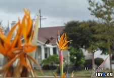 Tags: finally, got, picture (Pict. in My r/PICS favs)