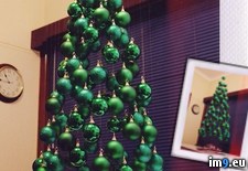 Tags: christmas, finally, floating, our, tree (Pict. in My r/PICS favs)