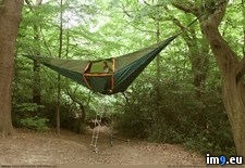 Tags: amazing, freaking, hammock, tent (Pict. in My r/PICS favs)