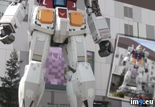 Tags: giant, gundam, mall, statue, tokyo (Pict. in My r/PICS favs)