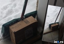 Tags: delivery, good, guy, man, ups (Pict. in My r/PICS favs)