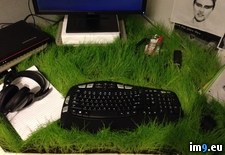 Tags: grass, prank (Pict. in My r/PICS favs)