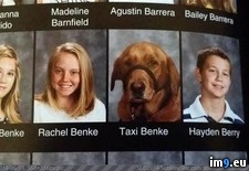 Tags: dog, guide, high, school, yearbook (Pict. in My r/PICS favs)
