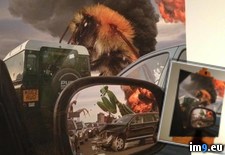 Tags: bugs, explosions, finished, giant, painting (Pict. in My r/PICS favs)