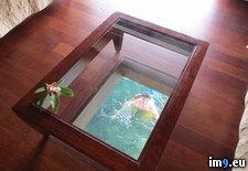 Tags: ago, blown, bungalow, floor, glass, hey, overwater, picture, posted, tahiti, was, year (Pict. in My r/PICS favs)