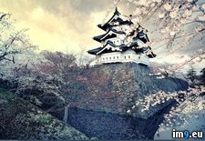 Tags: castle, hirosaki, japan (Pict. in My r/PICS favs)