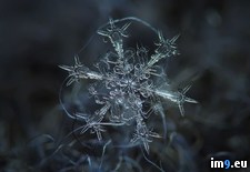 Tags: camera, homemade, snowflakes, stunning, takes (Pict. in My r/PICS favs)