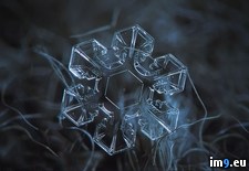 Tags: camera, homemade, snowflakes, stunning, takes (Pict. in My r/PICS favs)