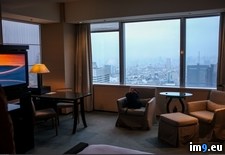 Tags: asked, bill, film, granted, hotel, lost, murray, park, request, room, stay, tokyo, translation (Pict. in My r/PICS favs)