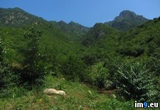 Tags: attempted, campingandhiking, china, failed, for, great, hike, rural, wall (Pict. in My r/PICS favs)