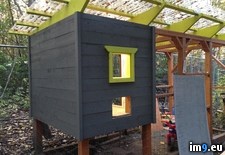 Tags: alaska, built, chicken, coop, share, thought (Pict. in My r/PICS favs)