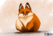 Tags: born, chubby, draw, fox, foxes, learn, mission (Pict. in My r/PICS favs)