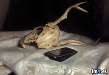 Tags: broken, finished, for, life, load, old, painting, phone, project, shit, skull, time (Pict. in My r/PICS favs)