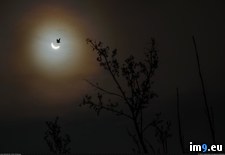 Tags: eclipse, lucky, photo, solar (Pict. in My r/PICS favs)