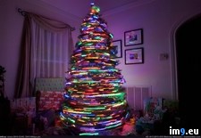 Tags: christmas, lights, raise, see, spinning, tree, you, zooming (Pict. in My r/PICS favs)
