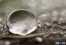 Tags: drops, father, hobby, photographing, stay, water (Pict. in My r/PICS favs)