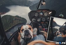 Tags: adventure, buddy, license, life, pilots (Pict. in My r/PICS favs)