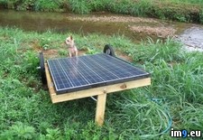 Tags: caveat, elec, free, house, install, offered, solar (Pict. in My r/PICS favs)