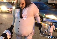 Tags: costume, impressive, penguin (Pict. in My r/PICS favs)