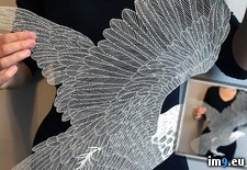 Tags: cut, incredible, paper (Pict. in My r/PICS favs)