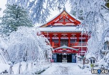 Tags: japanese, snow, temple (Pict. in My r/PICS favs)