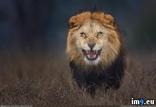Tags: photographer (Pict. in My r/PICS favs)