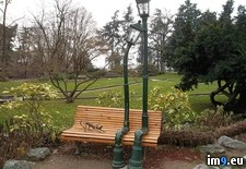 Tags: italy, lamps, park, turin (Pict. in My r/PICS favs)