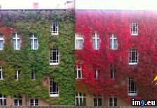 Tags: week (Pict. in My r/PICS favs)