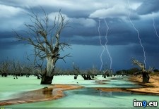 Tags: australia, green, lake, lightning, milky, strikes, turning (Pict. in My r/PICS favs)
