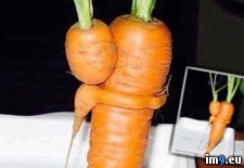 Tags: love, root, vegetables (Pict. in My r/PICS favs)