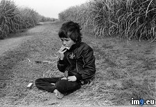 Tags: africa, aged, brand, cane, cigarette, field, harmonica, jacket, jps, playing, south, sugar (Pict. in My r/PICS favs)