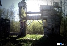 Tags: brothers, built, complai, hard, neighbours, summers, torn, treehouse, work (Pict. in My r/PICS favs)