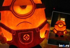 Tags: jack, lantern, lovers, minion, officially (Pict. in My r/PICS favs)