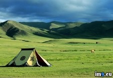 Tags: mongolian (Pict. in My r/PICS favs)