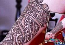 Tags: arms, cousin, feet, fiji, follow, got, had, henna, indian, married, she, tradition, wedding (Pict. in My r/PICS favs)