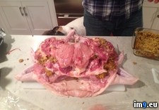 Tags: chicken, duck, family, for, see, thanksgiving, thought, turducken, turkey, year (Pict. in My r/PICS favs)