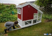 Tags: aquaponics, break, build, business, chicken, coop, friend, island, thinking, vancouver (Pict. in My r/PICS favs)
