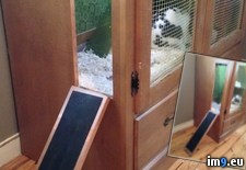 Tags: built, for, girlfriend, hutch, our, pet, rabbit (Pict. in My r/PICS favs)