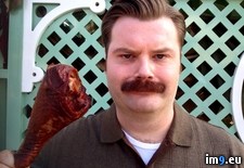 Tags: for, halloween, ron, swanson (Pict. in My r/PICS favs)