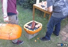 Tags: but, did, grill, loves, one, pumpkin, roommate (Pict. in My r/PICS favs)