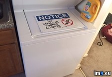 Tags: bought, for, iphone, new, washed, washer, weekend, wife (Pict. in My r/PICS favs)