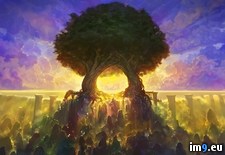 Tags: art, year (Pict. in My r/PICS favs)