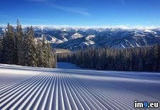 Tags: favourite, fields, one, ski, working (Pict. in My r/PICS favs)