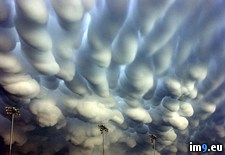 Tags: clouds, hastings, john, mammatus, olsen, one, phenomena, photo, rarest, weather (Pict. in My r/PICS favs)