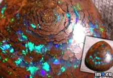 Tags: formation, fossilized, opal, wood (Pict. in My r/PICS favs)