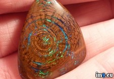 Tags: formation, fossilized, opal, wood (Pict. in My r/PICS favs)