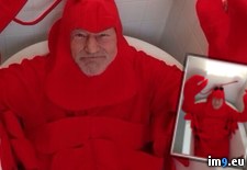 Tags: costume, halloween, patrick, stewart (Pict. in My r/PICS favs)