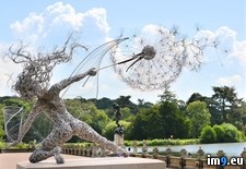 Tags: cool, pretty, sculpture, stainless, wire (Pict. in My r/PICS favs)